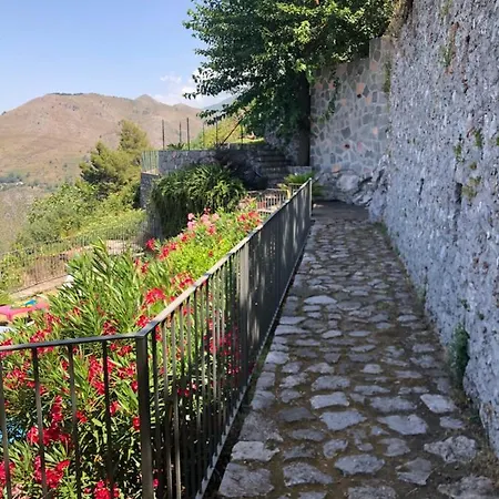 Un Capriccio - Ginepro *