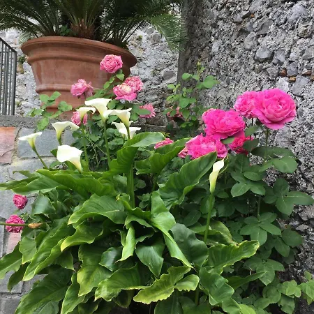 Apartment Un Capriccio - Ginepro