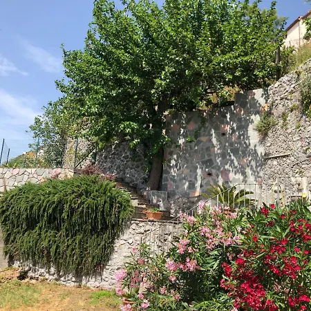 Un Capriccio - Ginepro * Aieta