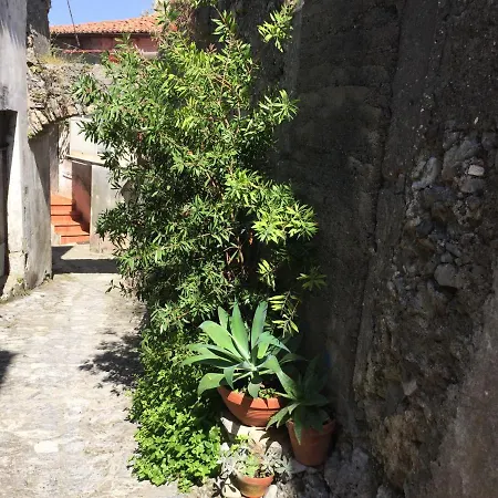 Un Capriccio - Ginepro * Aieta