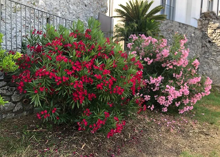 Un Capriccio - Ginepro Apartman Aieta