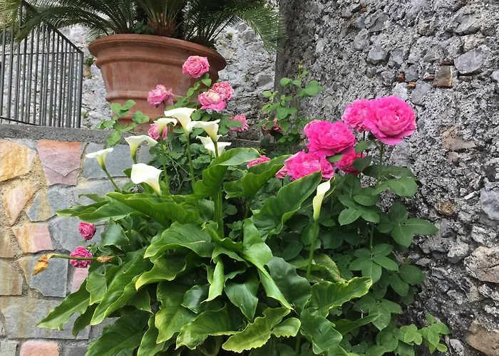 Apartman Un Capriccio - Ginepro